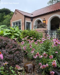 Casa Rosa glows pink in the rain at Memphis Fling