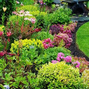 Lakshmi’s Lush Garden in Alberta