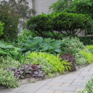 Brenda’s Front Garden in Ontario