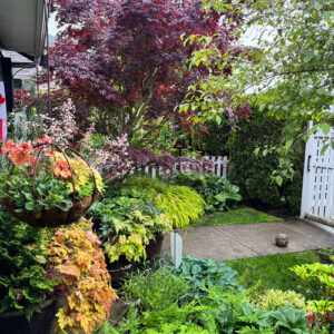 Cherry’s May Garden in British Columbia
