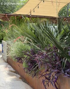 Patio garden at Austin’s Bureau de Poste bistro