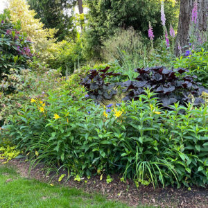 Jeanne’s Spring Garden in Washington