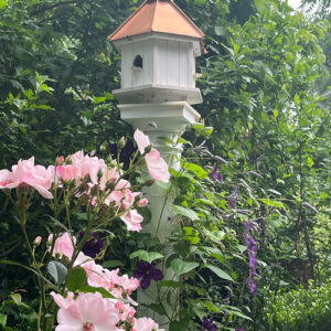 Ann’s Spring Garden in New Jersey, Part 2