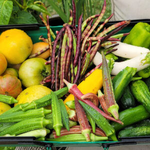 Kimberly’s Golden Garden in North Carolina