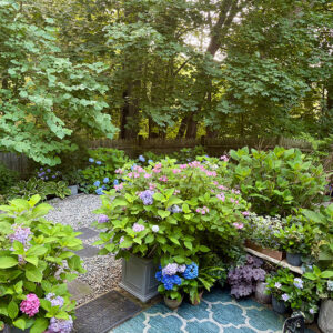 Kim’s Garden Before and After in Rhode Island