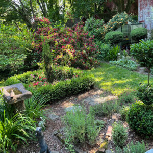 Garden Updates From Criss in Ohio