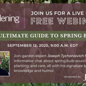 Spring Bulbs Q&A – Webinar with Joseph Tychonievich