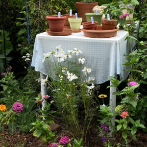Summer Scenes in Dot’s Pennsylvania Garden, Part 2