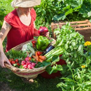 15 Plant-Once Perennial Veggies That Transform Your Garden Game Forever –