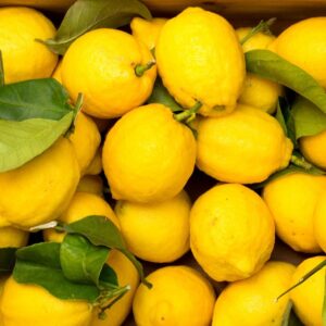 This $3 Lemon Hack Banished Mosquitoes From My Yard (Forever!) –