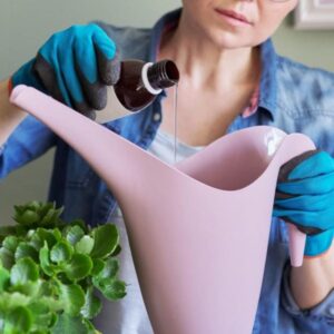 The Kitchen Cupboard Seed Trick That Actually Works –