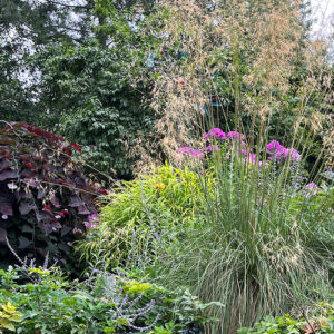Jeanne’s Midsummer Garden in Washington