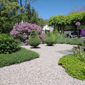 Lynn’s Summer Garden in Ontario