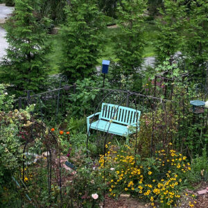 Summer Scenes in Dot’s Pennsylvania Garden, Part 1