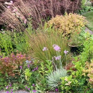 Cleo’s Summer Garden in Washington