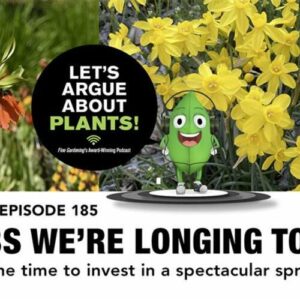 Episode 185: Bulbs We’re Longing to Buy