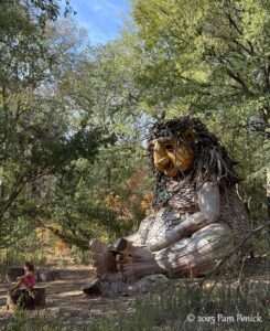 Playing at Pease Park: Treehouse and Dambo troll