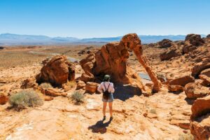 State parks dupes for US national parks