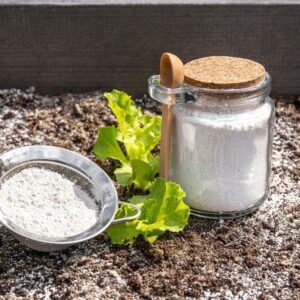 10 Mind-Blowing Ways Baking Soda Rescues Your Garden (That Seem Like Magic!) –