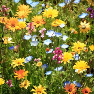 The Secret Spring Flower List Most Garden Experts Keep to Themselves –