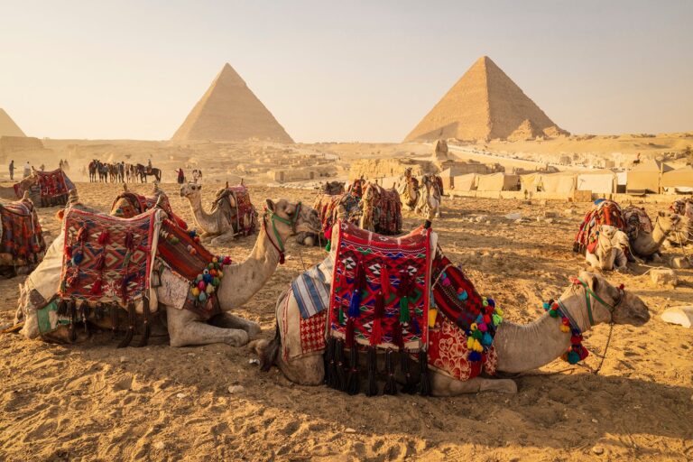 Nile river cruises: The ultimate guide to Egypt cruising and cruisetours