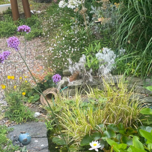 Laura Shares Her Mom’s Mature English Garden