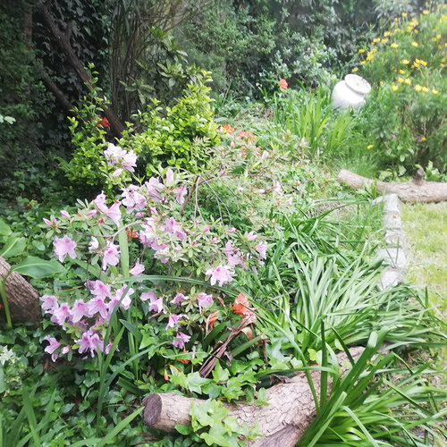Ezequiel’s Early Spring Garden in Buenos Aires