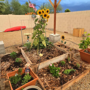 Dawn Gets Ready for Fall in Arizona