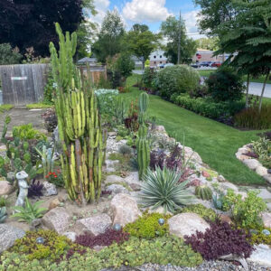 Jacob’s Unexpected Garden in Ontario