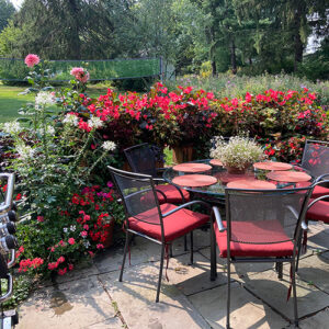 September in Heidi’s Connecticut Garden