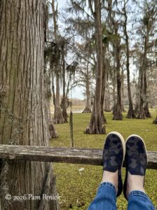 Feet up at Caddo Lake, plus mosaic car art