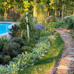 Carla’s Deer-Resistant Garden in Pennsylvania