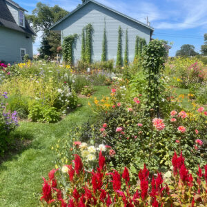 Happy New Year GPOD! – Fine Gardening