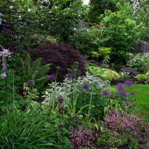 Nancy’s Hillside Garden in Oregon: Then and Now