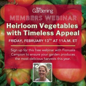 Heirloom Vegetables with Timeless Appeal – Webinar with Fionuala Campion
