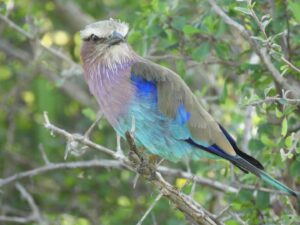 Links 2/7/2026 | naked capitalism