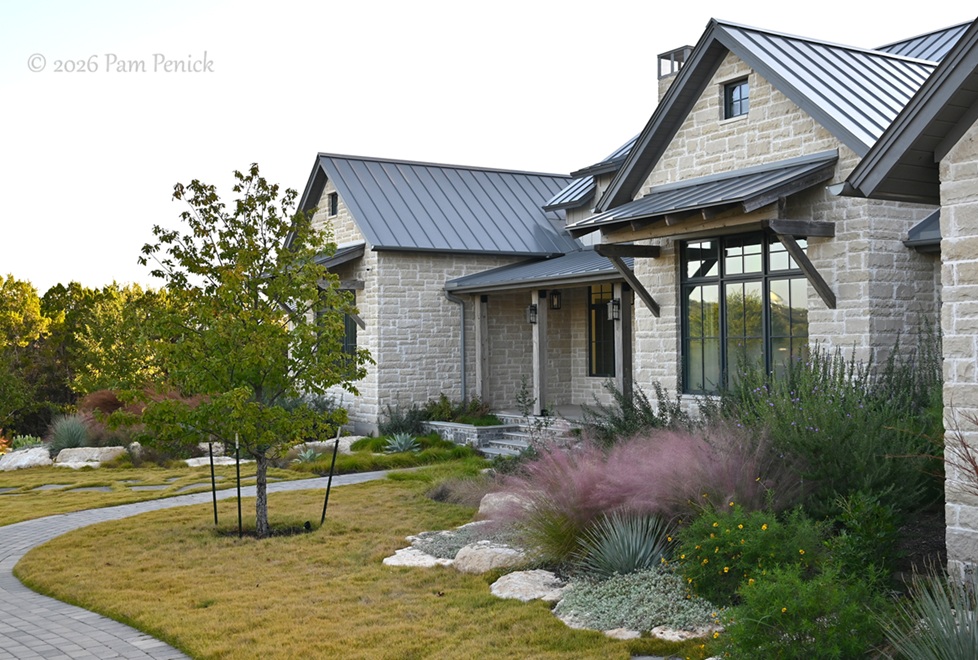 Waterwise Austin garden alight with grasses