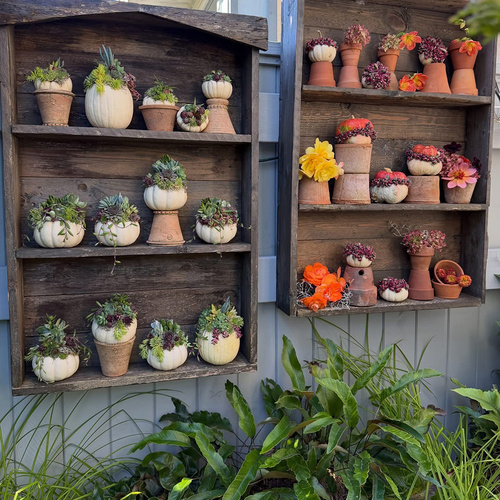 Cherry’s Dazzling Pumpkin Display in a DIY Theater