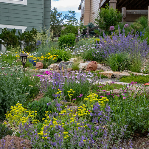 Ryan’s Xeric Garden in Colorado