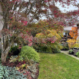 Cherry’s October Garden in British Columbia