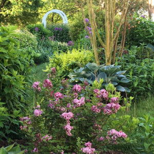 Damien and Debbie’s English Garden in Maryland