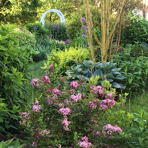 Damien and Debbie’s English Garden in Maryland