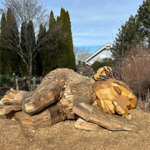 GPOD on the Road: Trolls at the North Carolina Arboretum