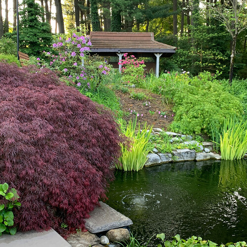 The Walsh’s Demonstration Garden in Ontario, Part 1