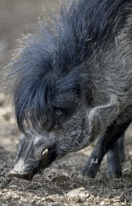 Links 2/12/2026 | naked capitalism