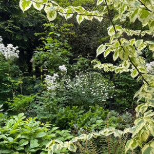 Design Effortless Layers of Interest with the Pivotal Plant Method