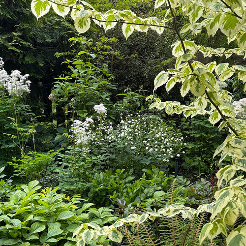 Design Effortless Layers of Interest with the Pivotal Plant Method