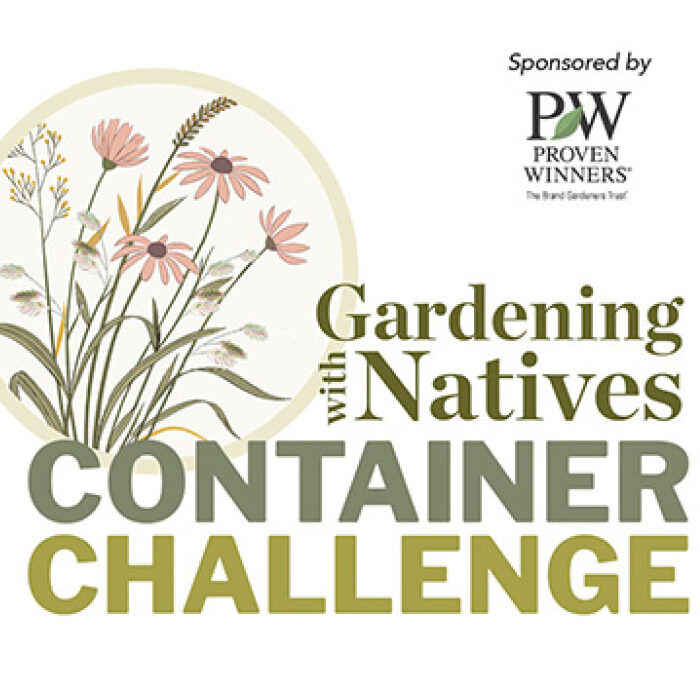 Container Challenge: Natives in the Garden – Design Sweepstakes