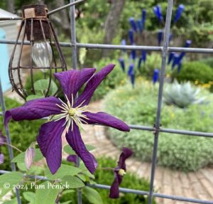 20 years of blogging and a new chapter begins