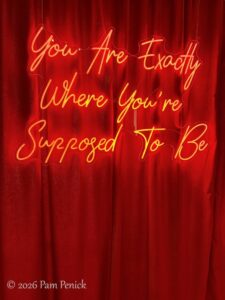 Austin homes on 2026 Tribeza Interiors Tour, Part 4: Chateau Chloe